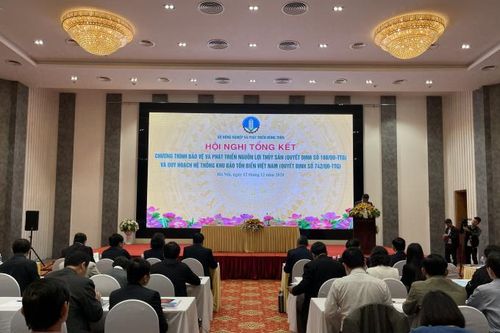 Giai đoạn 2010-2020: Kim ngạch xuất khẩu của toàn ngành Thủy sản đạt 8,6 tỷ USD