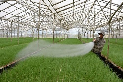 Thu nhập của nông dân tăng gần 4 lần trong 10 năm