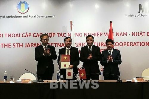 Nhật Bản hỗ trợ đào tạo nhân lực chất lượng cao cho nông nghiệp Việt Nam