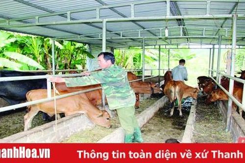 Phát triển trang trại chăn nuôi ở miền núi theo hướng bền vững