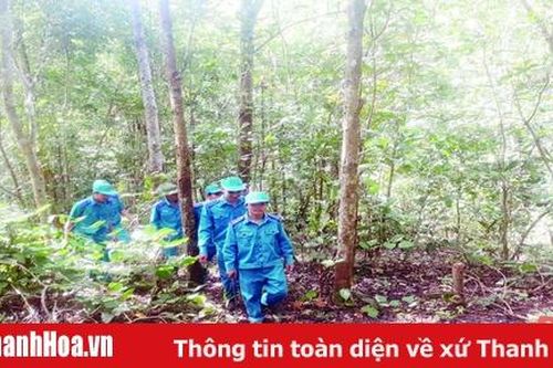 Bảo vệ rừng bền vững gắn với phòng cháy, chữa cháy rừng hiệu quả
