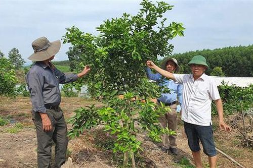 Thủ tướng Nguyễn Xuân Phúc: Xây dựng một tầng lớp nông dân mới nắm vững khoa học công nghệ, có tư duy sản xuất hiện đại