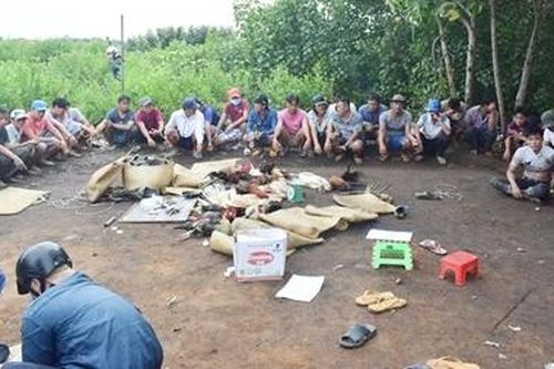 Bắt quả tang 37 đối tượng đá gà ăn tiền