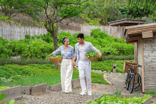 Ở đâu tại Côn Đảo trong kỳ nghỉ Tết Dương lịch?