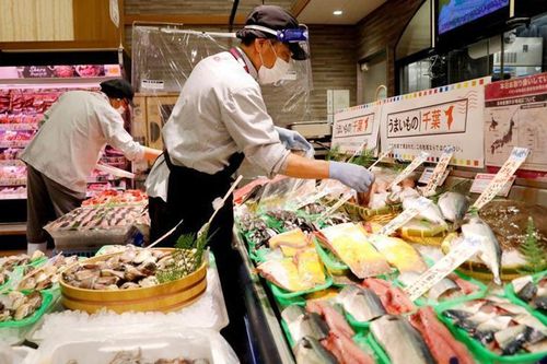 Nhật Bản hỗ trợ nền kinh tế 'vượt bão'