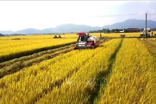 Người nông dân và tư duy đổi mới