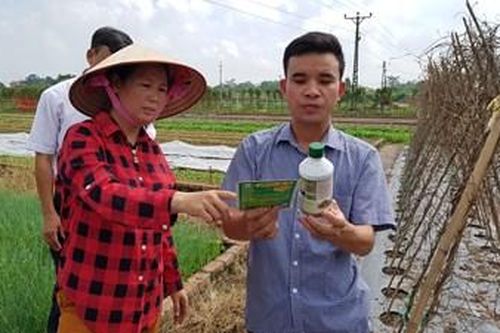 Lan tỏa tinh thần hiếu học từ các mô hình học tập