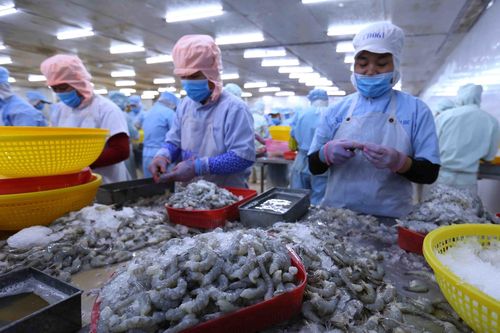 Báo cáo nghiên cứu: Việt Nam là đối tác kinh tế hoàn hảo của Australia