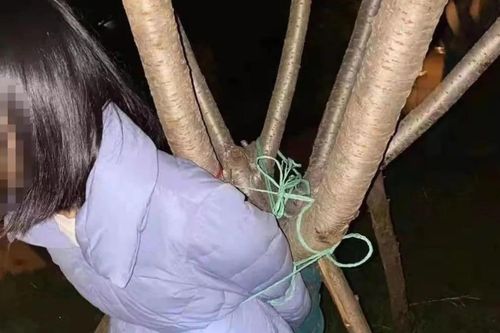 Tự dàn dựng vụ bắt cóc tống tiền để thử lòng bạn trai, cô gái nhận cái kết dở khóc dở cười