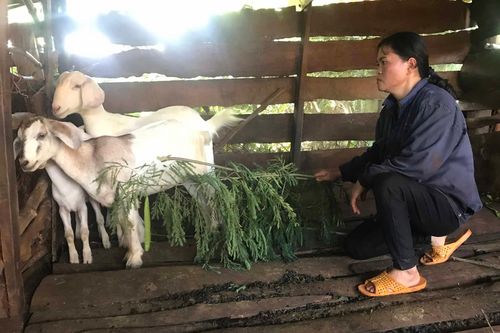 Dấu ấn mô hình '3 biết, 2 hỗ trợ' ở Ia Hrú