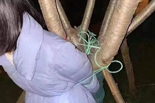 Để thử lòng người yêu, cô gái lên kế hoạch dàn dựng vụ bắt cóc tống tiền rồi sau đó tự mình tạo ra cái kết 'dở khóc dở cười'