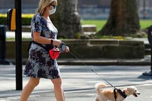 Cách kiếm tiền độc đáo mùa COVID-19