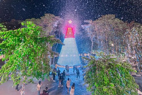 Hà Nội: Đại học Thăng Long có cây thông 'siêu to khổng lồ' để sinh viên check-in mùa noel