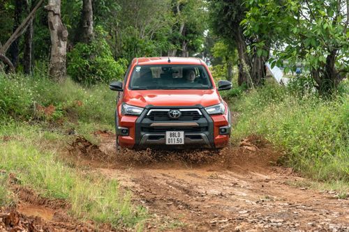Doanh số Hilux 2020 tháng 11 tiếp tục tăng