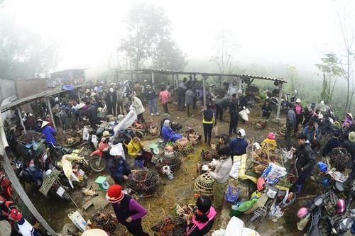 Thông báo công khai phương án chuyển đổi mô hình quản lý, kinh doanh, khai thác, gắn liền việc đầu tư xây dựng chợ Nủa xã Bình Phú