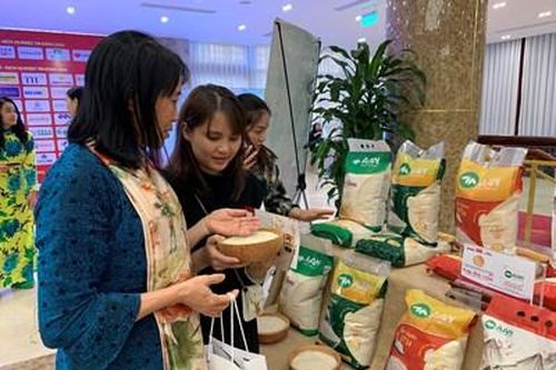 Xây dựng thương hiệu gạo Việt Nam: Cốt lõi vẫn là chất lượng