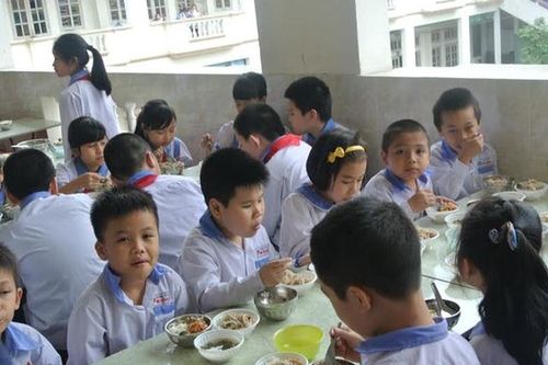 Chuyên gia tư vấn: Làm sao để có bữa ăn trường học an toàn?
