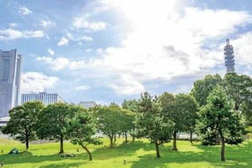 Thủ tướng Nhật Bản kêu gọi đầu tư và công nghệ xanh