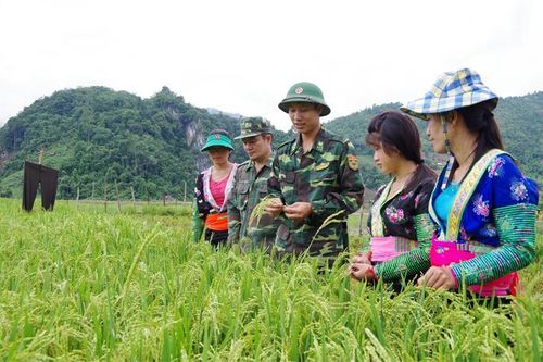 Kết hợp phát triển kinh tế, văn hóa, xã hội gắn với quốc phòng, an ninh trên từng địa bàn cụ thể