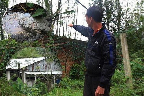 Trại heo hơn 1.000 con ngày đêm 'tra tấn' người dân ở Đà Nẵng