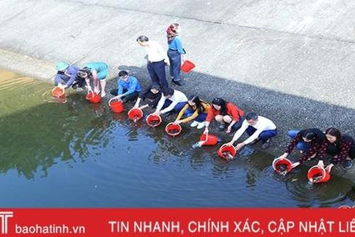 Hà Tĩnh thả 1,2 tấn cá tái tạo nguồn lợi thủy sản