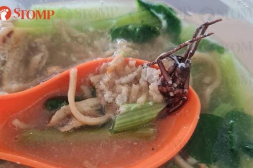 Người đàn ông la hét và nôn mửa sau khi phát hiện điều kinh hoàng trong tô mì