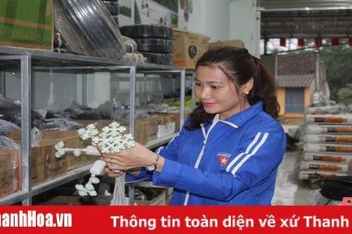 Nhà nông trẻ mê nông nghiệp công nghệ cao được nhận Bằng khen của Thủ tướng Chính phủ