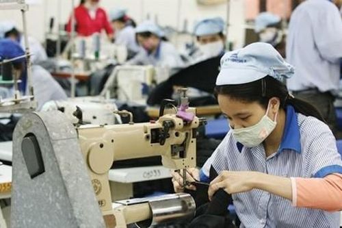 Lợi nhuận 11 tháng Dệt May Thành Công giảm so với cùng kỳ năm trước