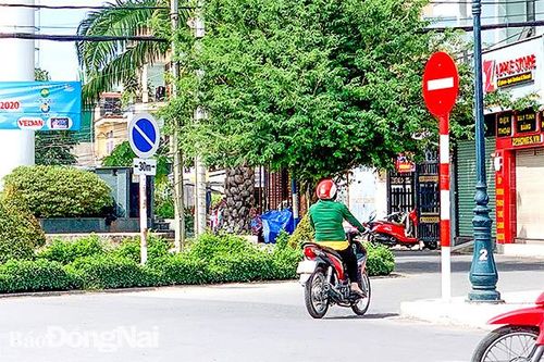 Ngang nhiên đi ngược chiều