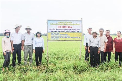 Nông dân hưởng lợi từ thực hành nông nghiệp thông minh thích ứng biến đổi khí hậu