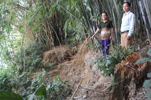 Cần xây dựng kè chống sạt lở bờ sông Cầu