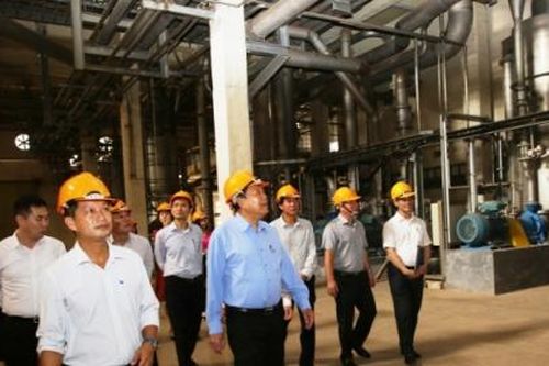 Chậm xử lý nhà máy Bột giấy Phương Nam gây thiệt hại 3.000 tỷ, lãng phí 43 ha đất