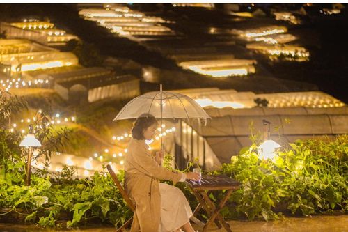 5 homestay ở Đà Lạt có view ôm trọn thung lũng đèn
