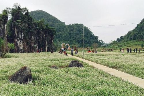 Du lịch Hà Giang xây dựng điểm đến 'bản sắc, an toàn, thân thiện'