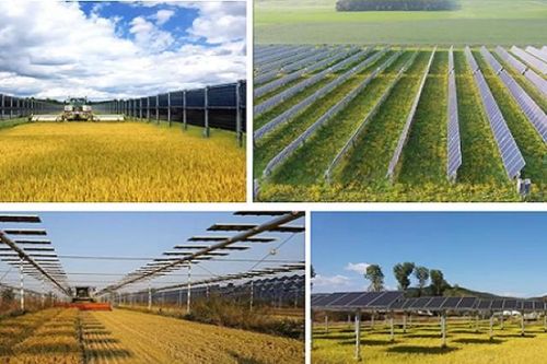 Tận dụng nông nghiệp để khai thác điện Mặt trời