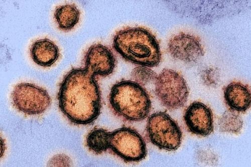 WHO tập trung điều tra về biến thể mới của virus SARS-CoV-2 tại Anh