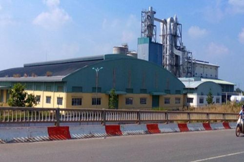 Nghiên cứu bán đấu giá dự án Nhà máy Bột giấy Phương Nam