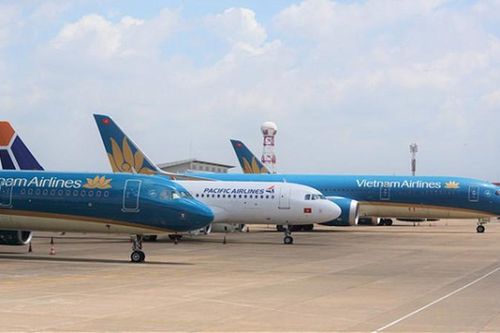 Cảnh báo xuất hiện website giả mạo Vietnam Airlines