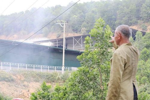 Doanh nghiệp xử lý rác bị phạt 190 triệu đồng vì gây ô nhiễm môi trường