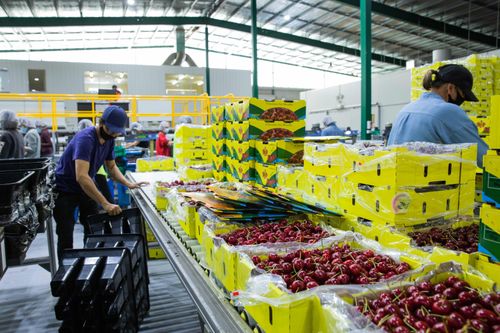 Kinh tế Australia vượt qua năm bất ổn nhất trong gần một thế kỷ