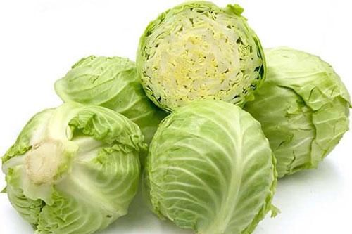 DNVN - Công dụng tuyệt vời của rau bắp cải có thể bạn chưa biết