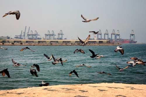 Tấn công khủng bố tàu chở dầu tại cảng Jeddah của Saudi Arabia