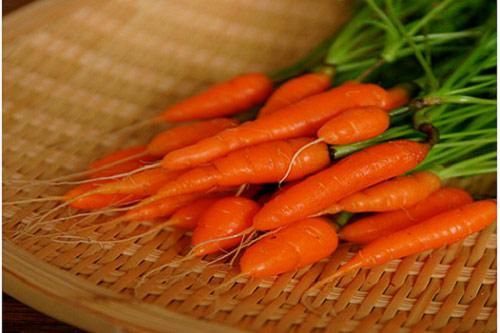 Cách trồng cà rốt mini ngon bổ rẻ ngay tại nhà