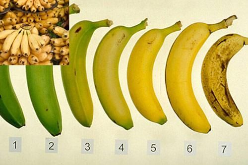 Mẹo chọn chuối chín tự nhiên đơn giản nhất không phải ai cũng biết