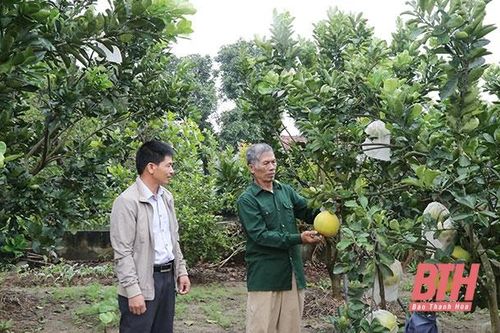 Xã Nga Trường phát huy vai trò lãnh đạo của chi bộ nông thôn