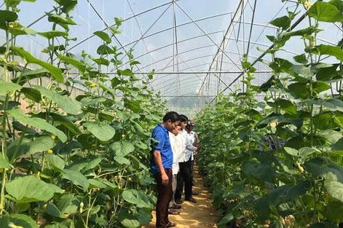 Nông dân với ý thức tự cường