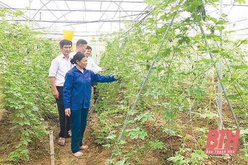 Hiệu quả mô hình khu vườn kiểu mẫu tại huyện Nông Cống