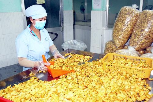 Đẩy mạnh thu hút đầu tư chế biến
