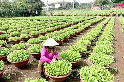 Xây dựng lớp nông dân mới với tư duy, cách làm mới