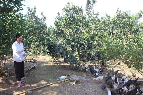 Đi đầu trong phát triển kinh tế